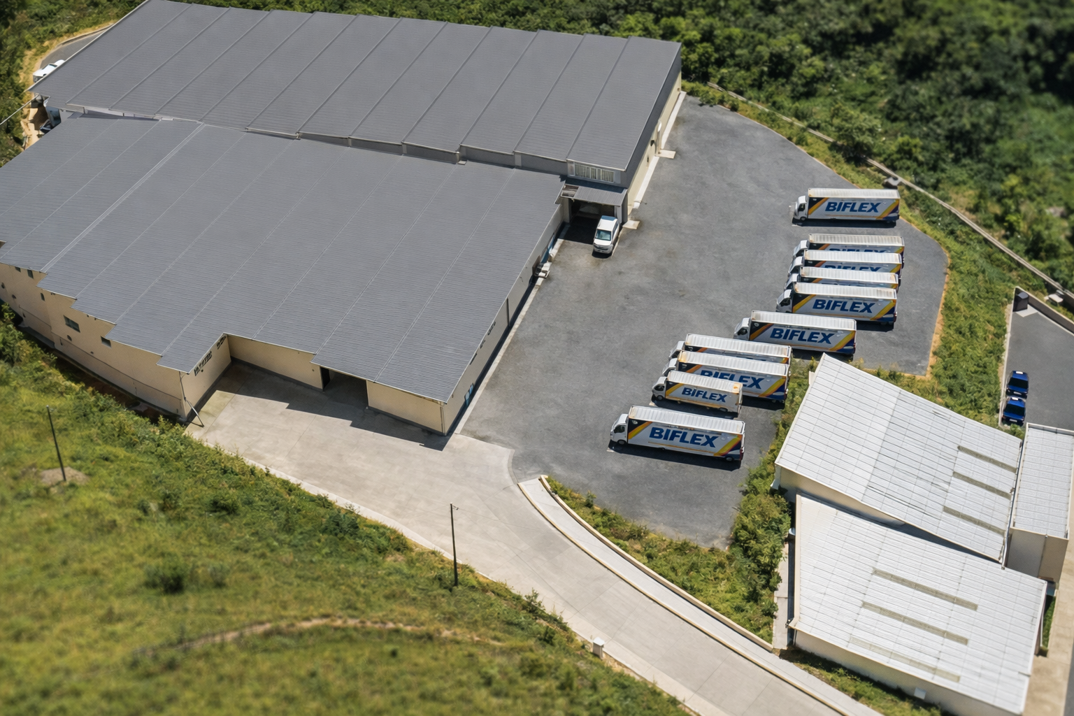 trajetoria-consolidacao-industria-de-colchoes-biflex